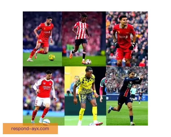 拜仁慕尼黑宣布新赛季阵容调整，迎来多名新援加强球队实力